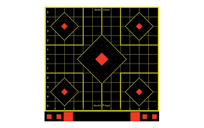 B/C SHT-N-C SIGHT-IN TGT 12-12"