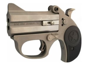 Bond Arms BASRS-22LR STINGER RS .22 LR 3" 2 Rounds Stainless W/ Rough Series Finish